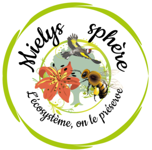 Logo de Mielys sphère